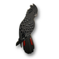 Red-tailed Black Cockatoo (Male) Brooch